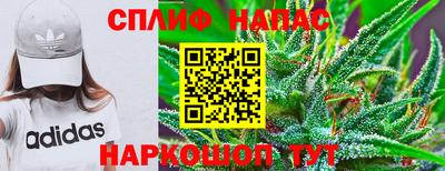 прущие крисы Апшеронск