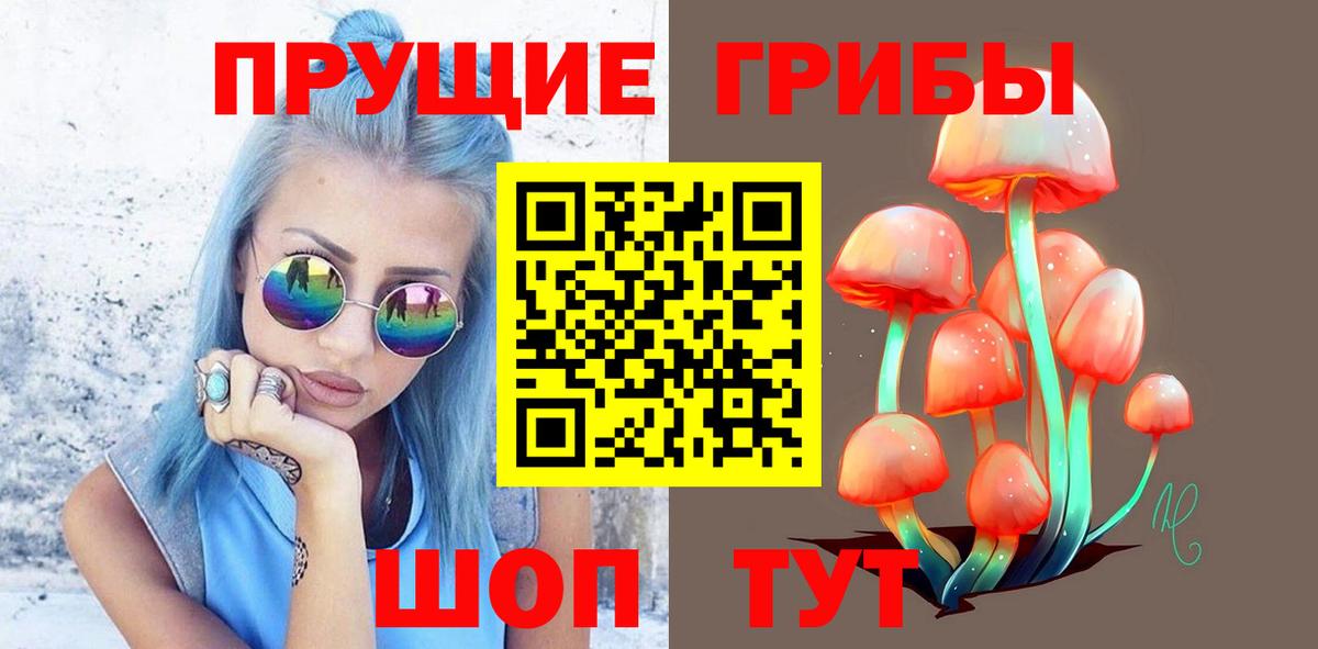 Брянск  Галлюциногенные грибы мицелий  Вход с VPN 